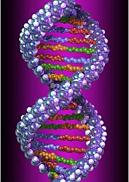 dna-structure1